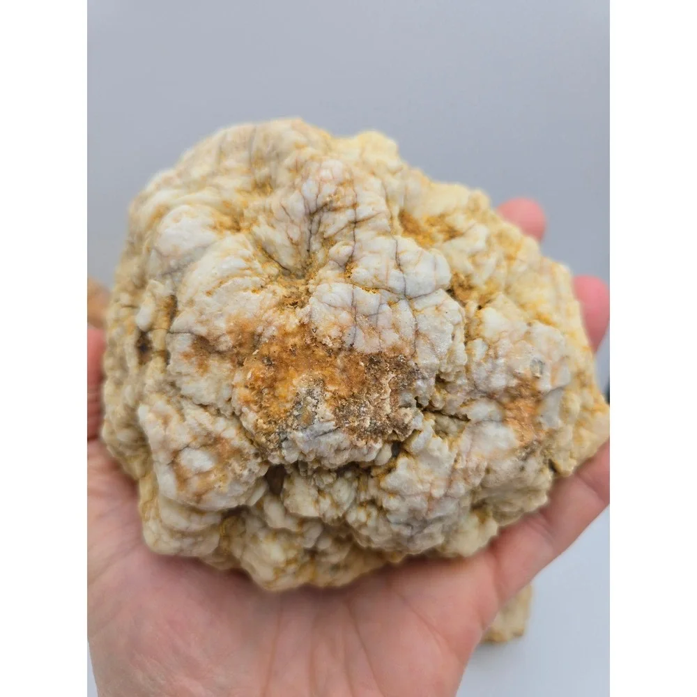 Natural Quartz Geode Crystal Lot‎ 6pc Tan White Good Raw Mineral Specimen